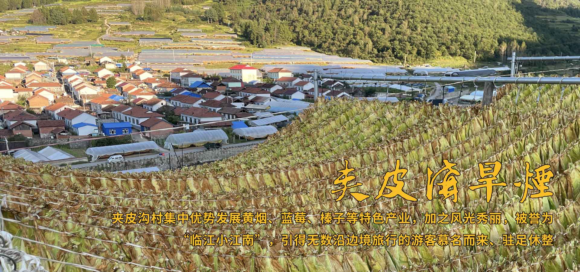 夹皮沟黄烟土特产