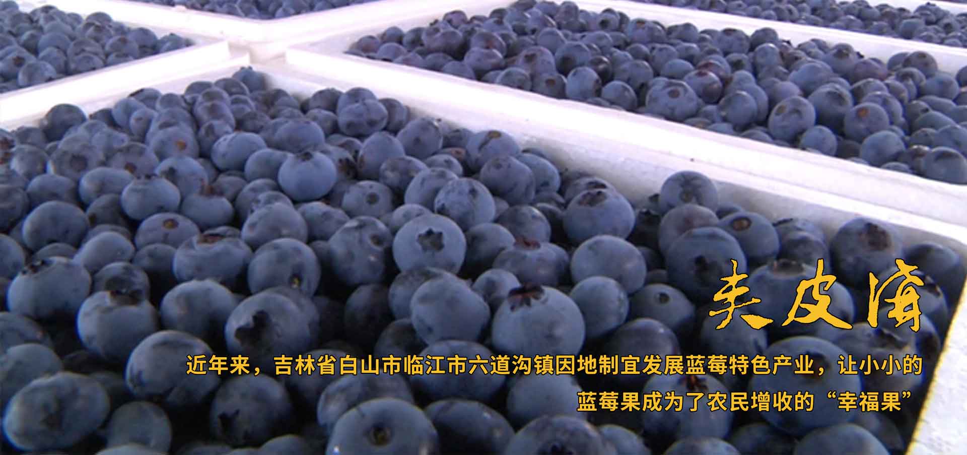 夹皮沟旱烟